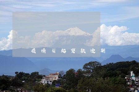 疫情引起贷款逾期 疫情引起贷款逾期