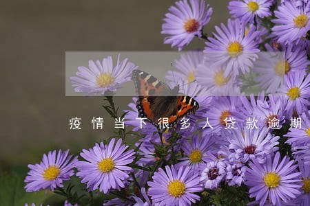 疫情当下很多人贷款逾期怎么过的 疫情当下很多人贷款逾期怎么过的