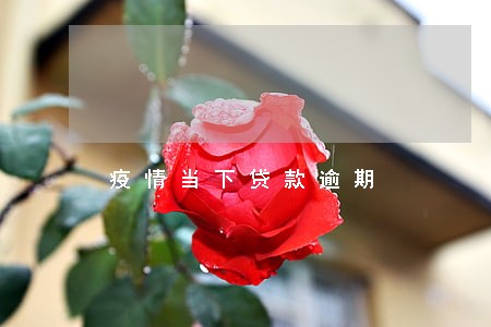 疫情当下贷款逾期 疫情当下贷款逾期