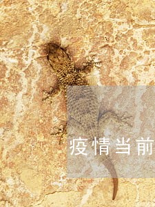 疫情当前房贷逾期了怎么办 疫情当前房贷逾期了怎么办