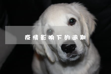 疫情影响下的逾期 疫情影响下的逾期