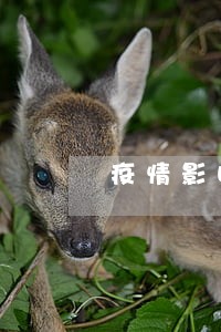 疫情影响信用卡逾期证明 疫情影响信用卡逾期证明