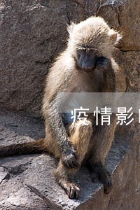 疫情影响全国欠款逾期知多少