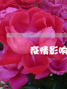 疫情影响卡奴逾期怎么办 疫情影响卡奴逾期怎么办