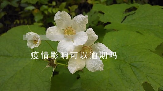 疫情影响可以逾期吗 疫情影响可以逾期吗