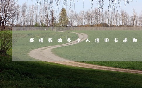疫情影响多少人信用卡逾期