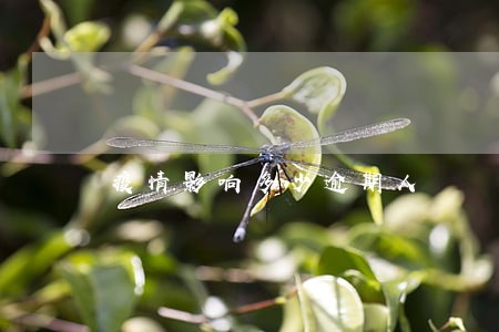 疫情影响多少逾期人 疫情影响多少逾期人
