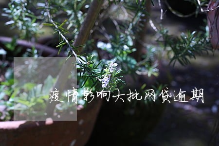 疫情影响大批网贷逾期 疫情影响大批网贷逾期