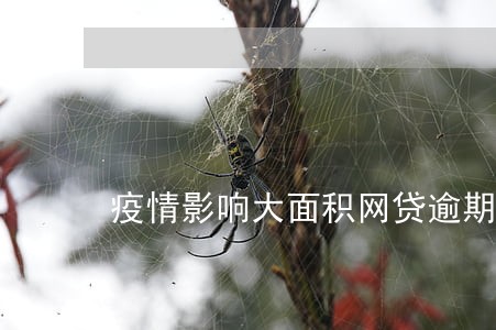 疫情影响大面积网贷逾期 疫情影响大面积网贷逾期