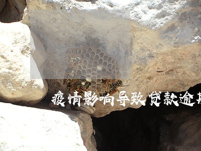 疫情影响导致贷款逾期 疫情影响导致贷款逾期