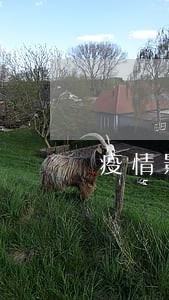 疫情影响房地产逾期接房通知 疫情影响房地产逾期接房通知