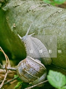 疫情影响房贷可以逾期么 疫情影响房贷可以逾期么