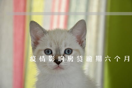 疫情影响房贷逾期六个月 疫情影响房贷逾期六个月