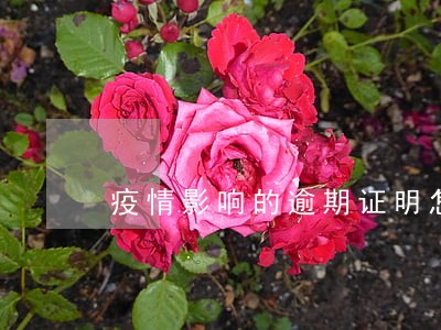 疫情影响的逾期证明怎么开 疫情影响的逾期证明怎么开