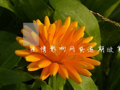疫情影响网贷逾期政策