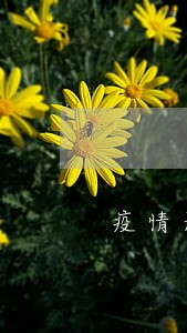疫情影响贷款逾期严重 疫情影响贷款逾期严重