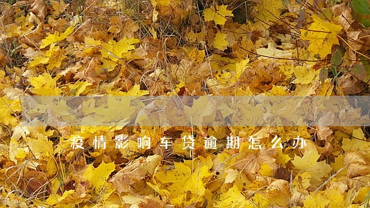疫情影响车贷逾期怎么办 疫情影响车贷逾期怎么办