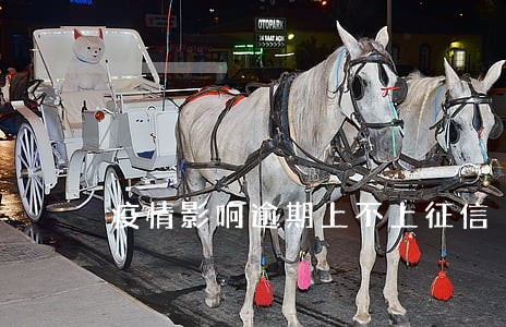 疫情影响逾期上不上征信 疫情影响逾期上不上征信