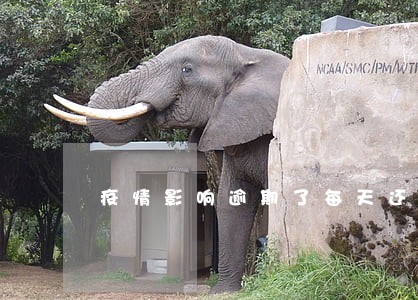 疫情影响逾期了每天还点 疫情影响逾期了每天还点