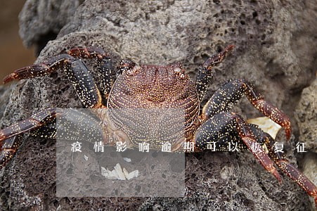 疫情影响逾期可以恢复征信吗 疫情影响逾期可以恢复征信吗