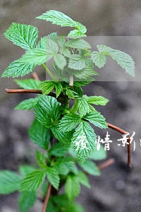疫情影响逾期更严重怎么办 疫情影响逾期更严重怎么办