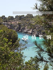 疫情影响逾期申报 疫情影响逾期申报