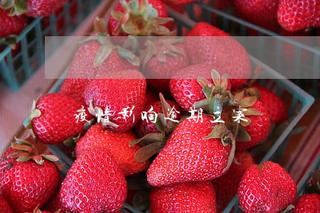 疫情影响逾期立案 疫情影响逾期立案