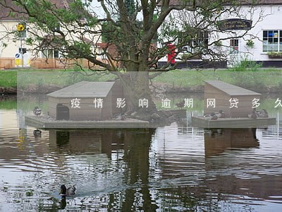 疫情影响逾期网贷多久能恢复 疫情影响逾期网贷多久能恢复