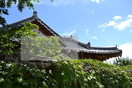 疫情影响逾期记录 疫情影响逾期记录