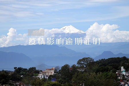 疫情影响逾期证明 疫情影响逾期证明