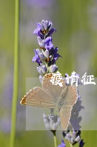 疫情征信逾期撤销申请 疫情征信逾期撤销申请