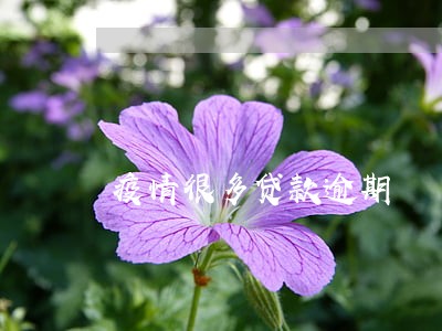 疫情很多贷款逾期 疫情很多贷款逾期