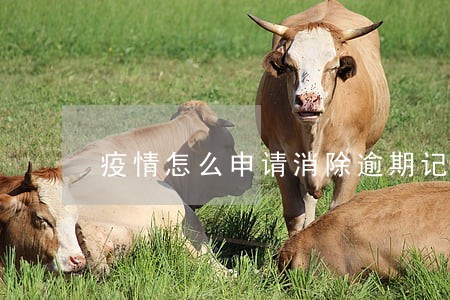 疫情怎么申请消除逾期记录 疫情怎么申请消除逾期记录