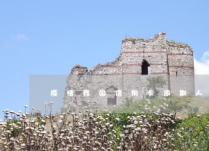 疫情我国信用卡逾期人数 疫情我国信用卡逾期人数