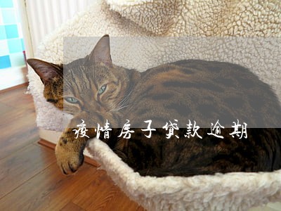 疫情房子贷款逾期 疫情房子贷款逾期