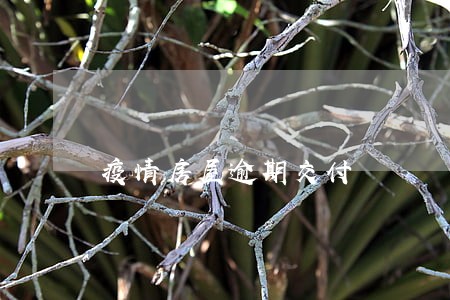 疫情房屋逾期交付 疫情房屋逾期交付