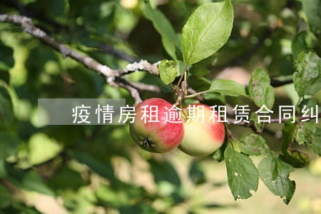 疫情房租逾期租赁合同纠纷 疫情房租逾期租赁合同纠纷