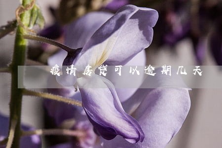 疫情房贷可以逾期几天 疫情房贷可以逾期几天