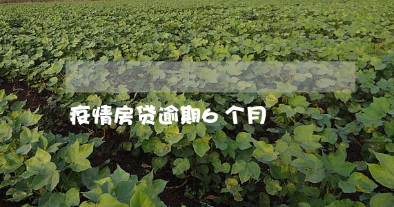 疫情房贷逾期6个月 疫情房贷逾期6个月