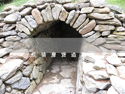 疫情房贷逾期一天 疫情房贷逾期一天