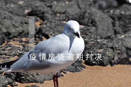 疫情房贷逾期判决 疫情房贷逾期判决