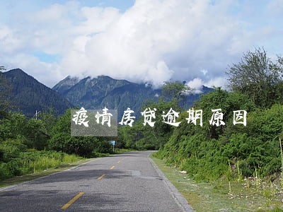 疫情房贷逾期原因 疫情房贷逾期原因