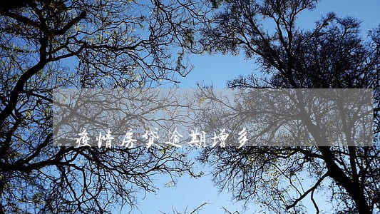 疫情房贷逾期增多 疫情房贷逾期增多