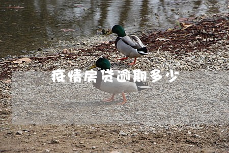 疫情房贷逾期多少 疫情房贷逾期多少