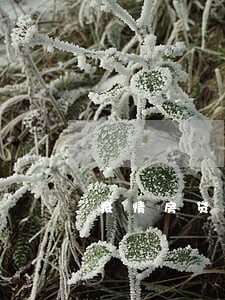 疫情房贷逾期宽限期 疫情房贷逾期宽限期