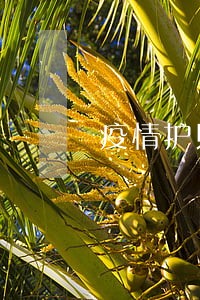 疫情护照逾期怎么办 疫情护照逾期怎么办