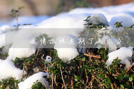 疫情报税逾期了怎么办 疫情报税逾期了怎么办