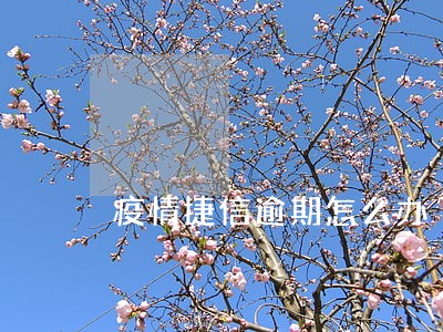 疫情捷信逾期怎么办
