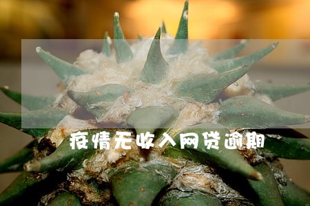 疫情无收入网贷逾期 疫情无收入网贷逾期