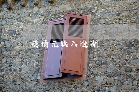 疫情无收入逾期 疫情无收入逾期